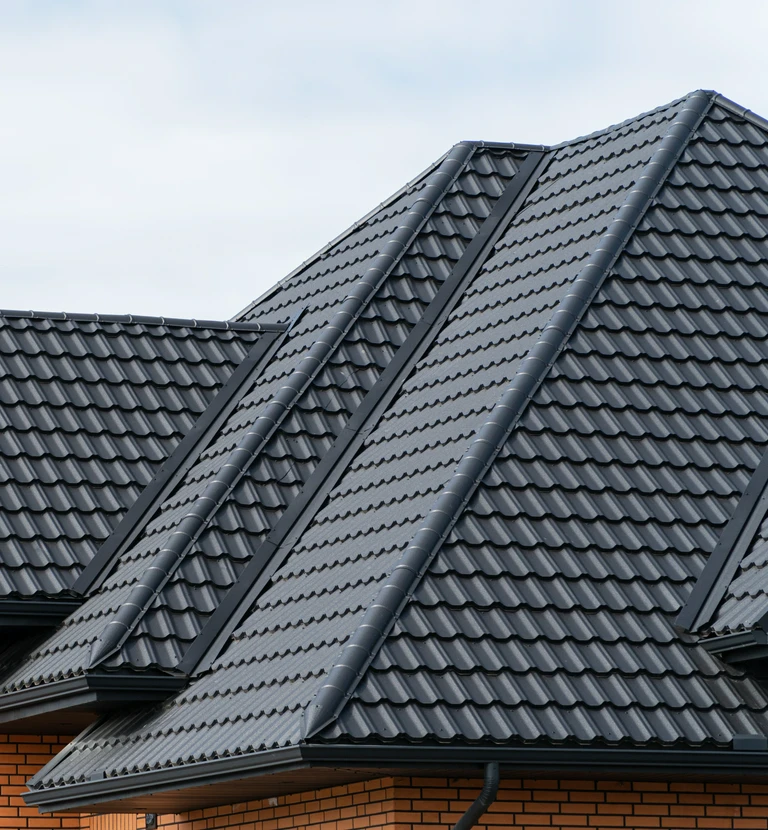 Czarna blachodachówka